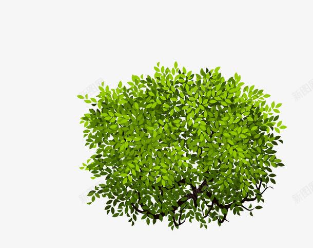 矮树png免抠素材_新图网 https://ixintu.com 树丛 矢量树木 矮树