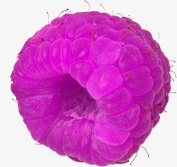 紫色诱人桑葚素材