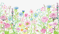 花集合水彩花多样式集合高清图片
