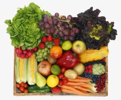 纸袋中的蔬果篮子中的蔬果高清图片