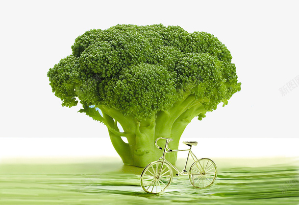 西兰花和自行车png免抠素材_新图网 https://ixintu.com 创意 植物 自行车 西兰花
