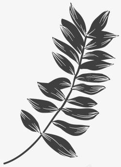 黑色树叶素材