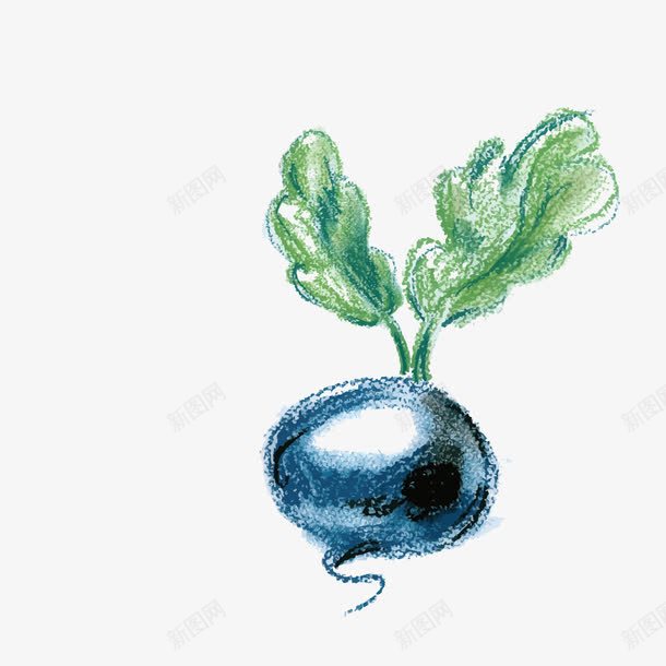 手绘蓝色萝卜png免抠素材_新图网 https://ixintu.com 儿童蜡笔画 手绘矢量 蓝色萝卜 蔬菜 蔬菜矢量 蜡笔画