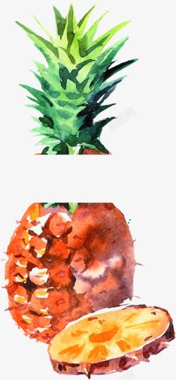 菠萝创意水彩水果素材