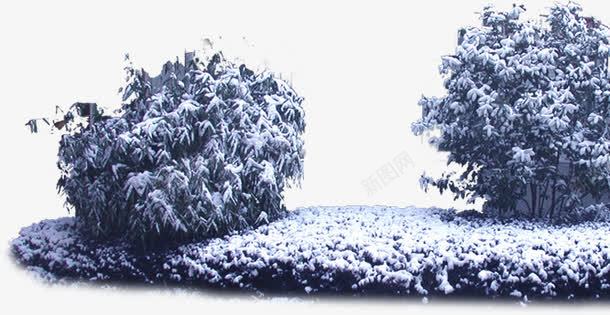 冬日唯美白色雪景png免抠素材_新图网 https://ixintu.com 冬日 白色 雪景