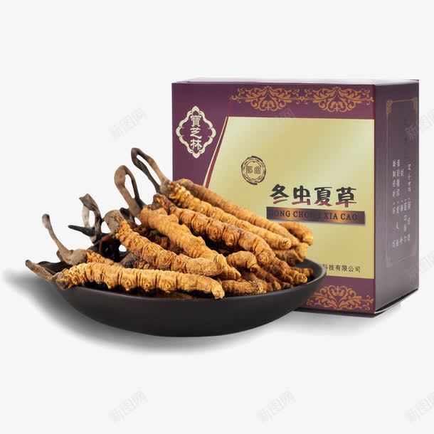 冬虫夏草png免抠素材_新图网 https://ixintu.com 冬虫 夏草 药材