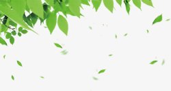 创意海报绿色植物树叶效果素材