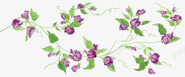 紫色手绘花朵背景png免抠素材_新图网 https://ixintu.com 紫色花朵 背景 花朵 花朵背景
