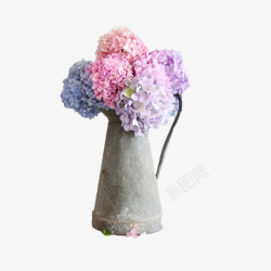 六色绣球花装在花瓶里的绣球花高清图片