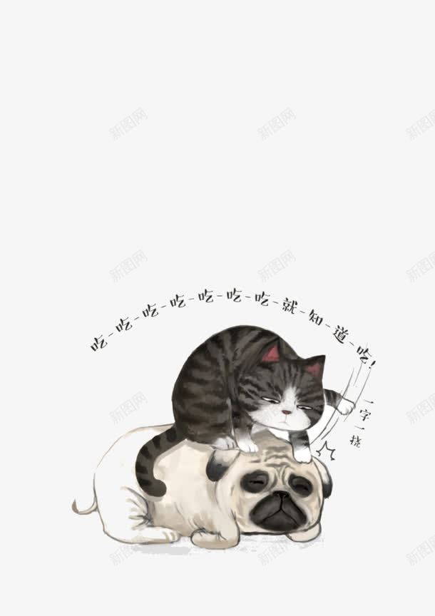 猫狗png免抠素材_新图网 https://ixintu.com 可爱 猫狗 玩耍