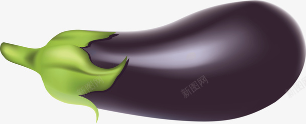 新鲜的茄子png免抠素材_新图网 https://ixintu.com 新鲜 新鲜的 新鲜的茄子 紫色 紫色的 紫色的茄子 茄子