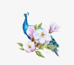 孔雀花卉艺术图案素材