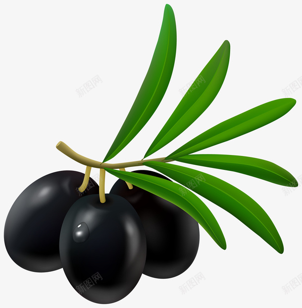 3颗黑橄榄装饰png免抠素材_新图网 https://ixintu.com 水果 食材 食物 黑橄榄
