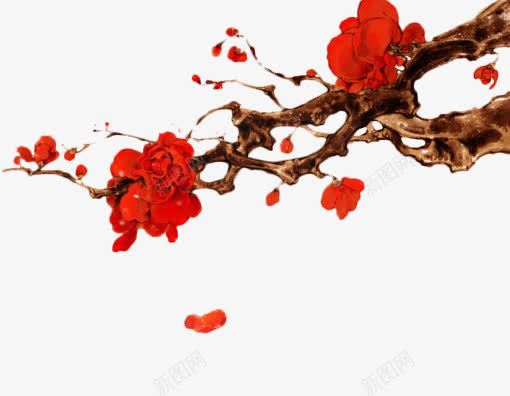红色花朵惊艳透明png免抠素材_新图网 https://ixintu.com 红色 花朵 透明