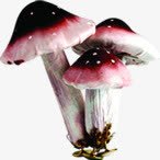 创意合成摄影红色的蘑菇素材