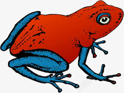 红皮肤牛蛙红色皮肤牛蛙高清图片