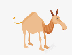 动物骆驼图矢量图素材