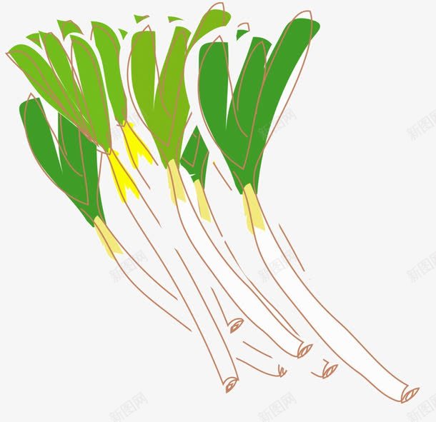 调料洋葱png免抠素材_新图网 https://ixintu.com 味料 手绘 插画 洋葱 蔬菜 食物