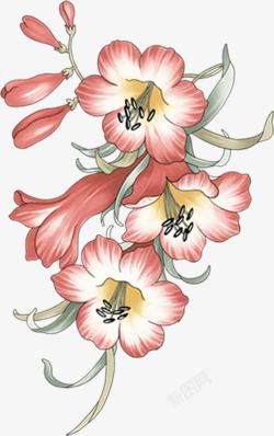 手绘古典艺术花朵花苞素材