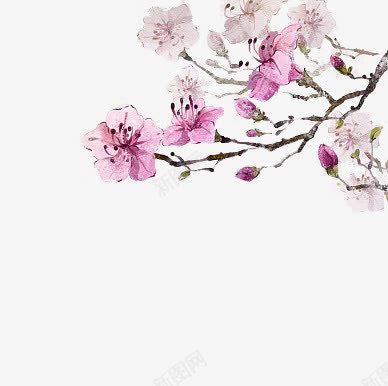 韩国风手绘花朵png免抠素材_新图网 https://ixintu.com 手绘素材 花朵 韩风