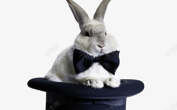 魔法兔子png免抠素材_新图网 https://ixintu.com 灰色兔子 魔法帽 黑色