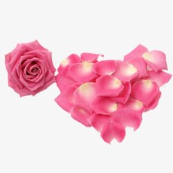 粉色心形玫瑰花素材