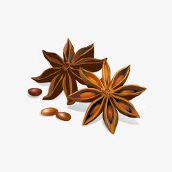逼真香料陈皮茴香高清图片