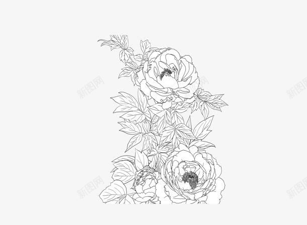 创意黑白风格复古花卉png免抠素材_新图网 https://ixintu.com 创意 复古 花卉 风格 黑白