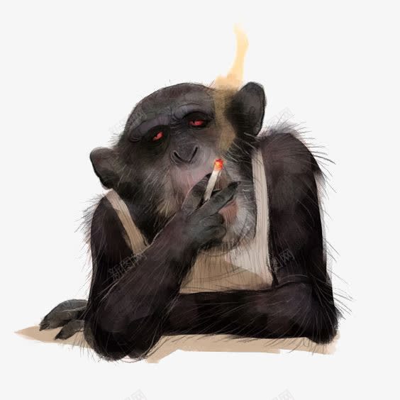 抽烟的猩猩png免抠素材_新图网 https://ixintu.com 动物拟人 卡通猩猩 手绘 插画