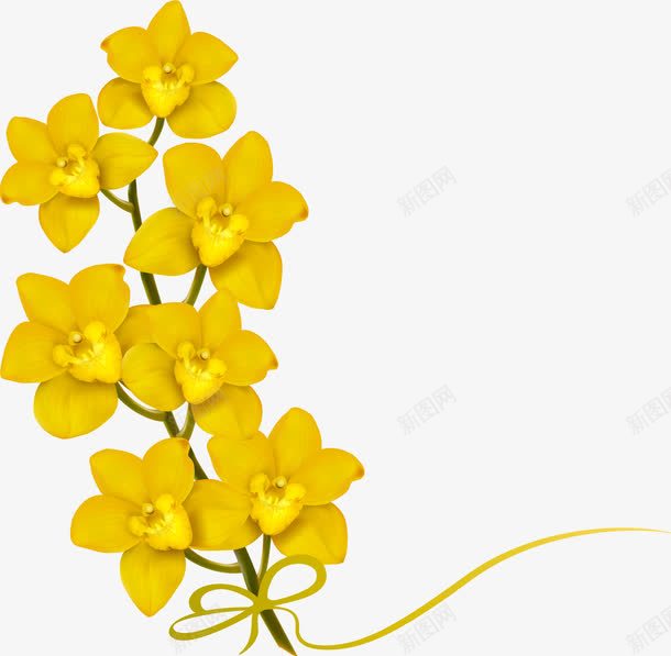 黄色花朵png免抠素材_新图网 https://ixintu.com 玉兰花 花朵 黄色