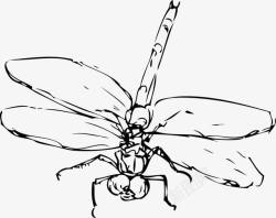 张开翅膀的蜻蜓素材