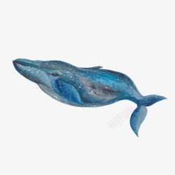 手绘蓝色鲸鱼素材