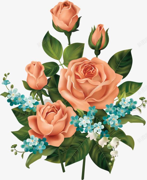 手绘月季花png免抠素材_新图网 https://ixintu.com 唯美 手绘 月季花 粉色