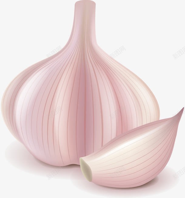大蒜食物png免抠素材_新图网 https://ixintu.com 大蒜 设计 食物