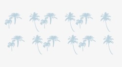 海南椰子树装饰背景素材