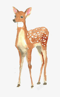 彩绘动物鹿素材
