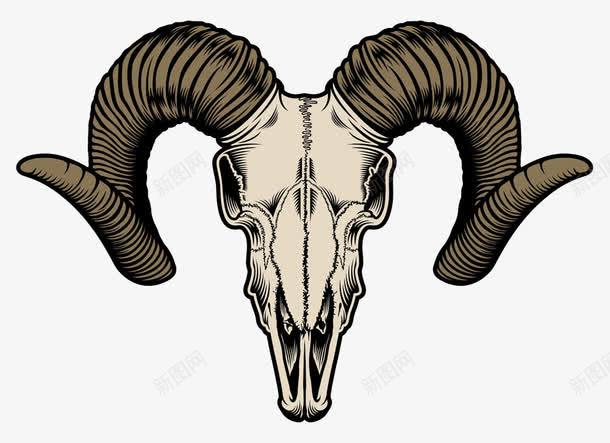 骷髅png免抠素材_新图网 https://ixintu.com 动物 角 骨头 骷髅
