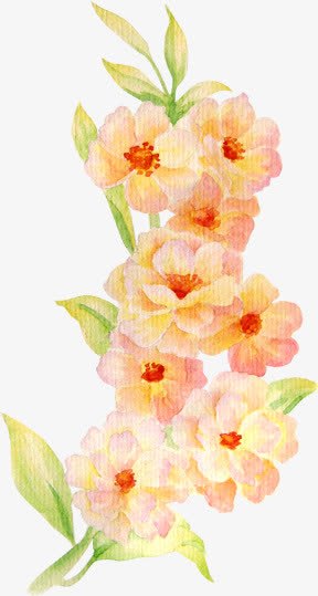 手绘花卉婚纱摄影png免抠素材_新图网 https://ixintu.com 图片 婚纱 摄影 花卉