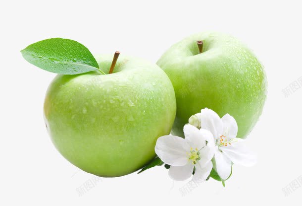 两个青苹果png免抠素材_新图网 https://ixintu.com 花卉 花朵 野果 青苹果