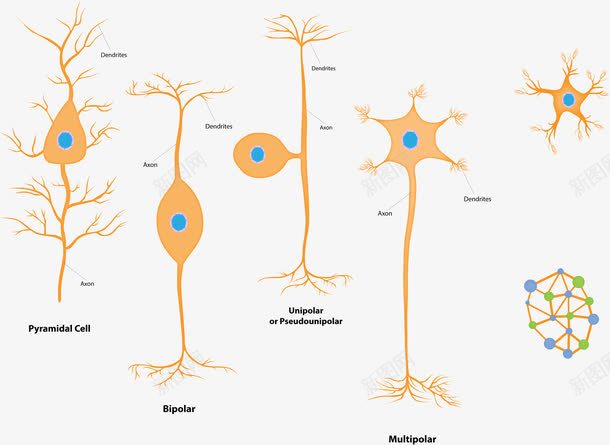 生物标志细胞实验室药学png免抠素材_新图网 https://ixintu.com 标志设计 生物实验室 细胞 药学