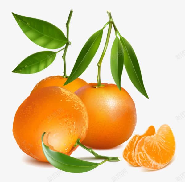 金黄色的香橙png免抠素材_新图网 https://ixintu.com 果实 水果 香橙