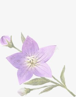 手绘紫色花卉插画素材