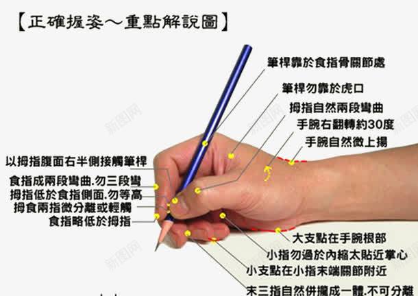 手握笔png免抠素材_新图网 https://ixintu.com 实物图 手握笔 手握笔示意图 重点解说图 铅笔