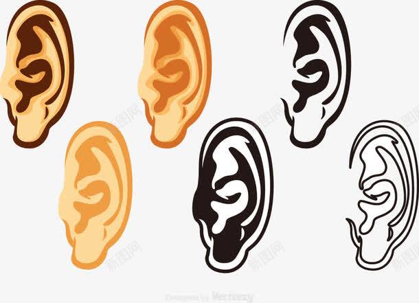 人体听力器官耳朵png免抠素材_新图网 https://ixintu.com 人 人耳 人耳朵 听力器官 手绘 耳 耳朵