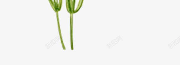 藤条花朵png免抠素材_新图网 https://ixintu.com 卡通 叶子 手绘 桔梗 简图 红色 绿色 藤条