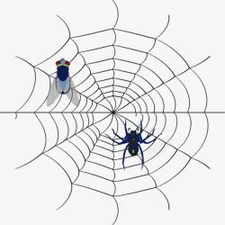 蜘蛛图案素材