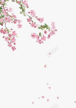 粉色鲜花素材
