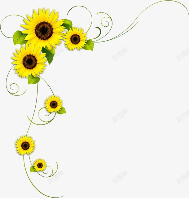 清新自然黄色花朵边框装饰png免抠素材_新图网 https://ixintu.com 清新 自然 花朵 装饰 边框 黄色