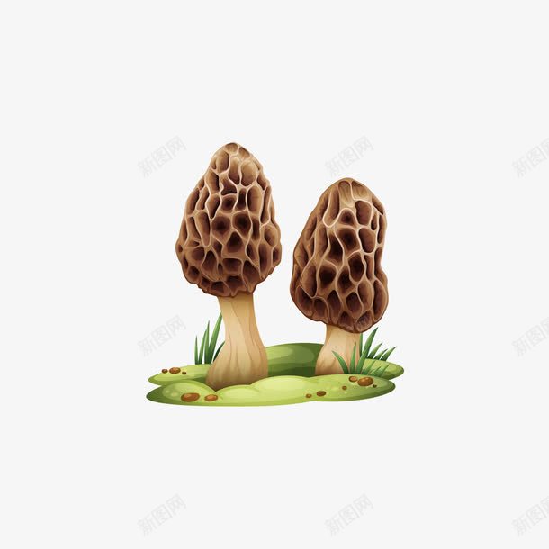 灰色的菌菇png免抠素材_新图网 https://ixintu.com 灰色 矢量菌菇 矢量蘑菇 菌菇 蘑菇