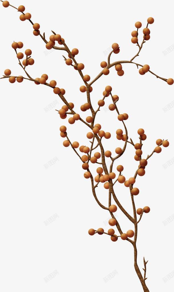 攀升的果树图png免抠素材_新图网 https://ixintu.com 果子 果树 棕色 素色 装饰